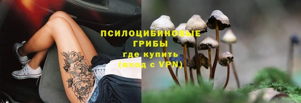 не бодяженный Корсаков