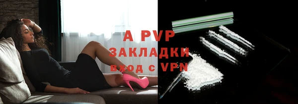 СК Коряжма