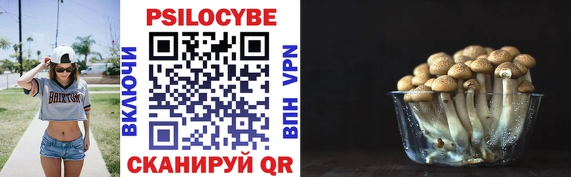 Купить закладки  Голицыно  Псилоцибиновые грибы GOLDEN TEACHER 